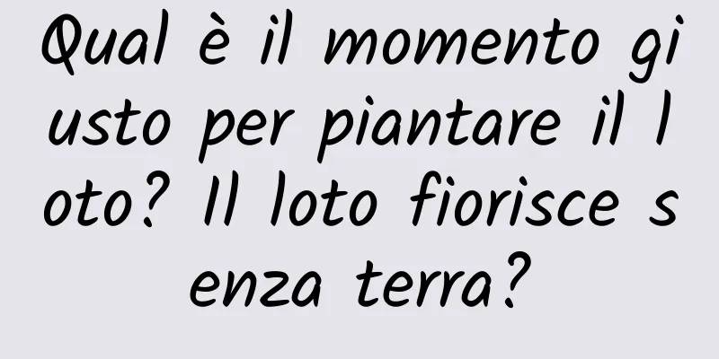 Qual è il momento giusto per piantare il loto? Il loto fiorisce senza terra?