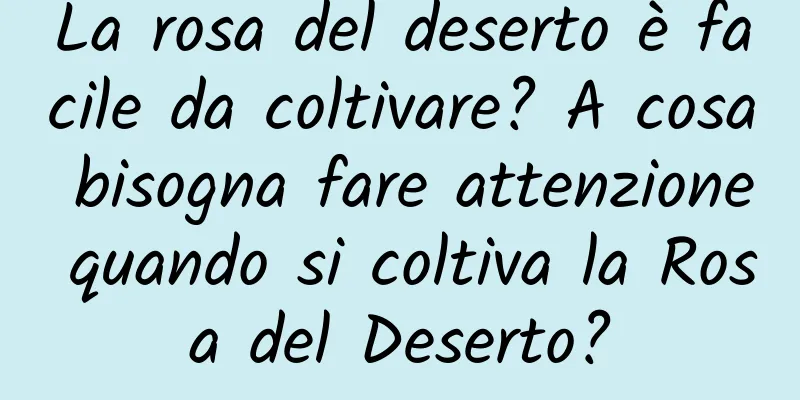 La rosa del deserto è facile da coltivare? A cosa bisogna fare attenzione quando si coltiva la Rosa del Deserto?