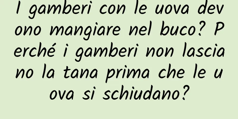 I gamberi con le uova devono mangiare nel buco? Perché i gamberi non lasciano la tana prima che le uova si schiudano?