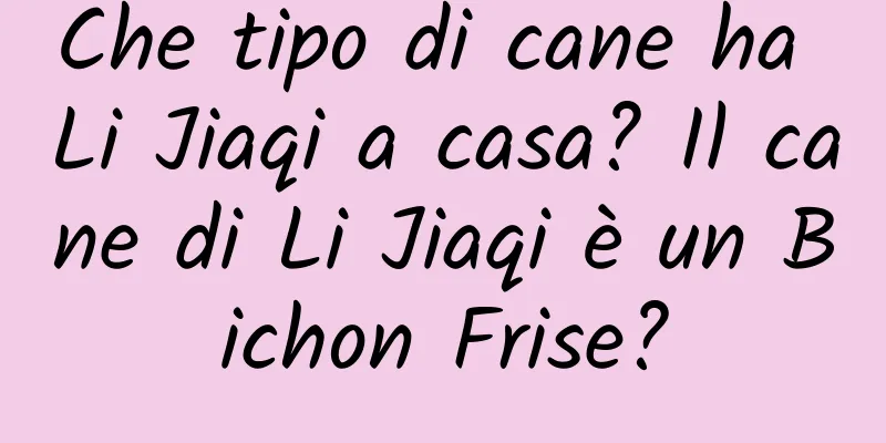 Che tipo di cane ha Li Jiaqi a casa? Il cane di Li Jiaqi è un Bichon Frise?