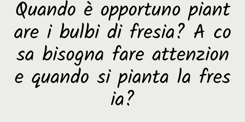 Quando è opportuno piantare i bulbi di fresia? A cosa bisogna fare attenzione quando si pianta la fresia?
