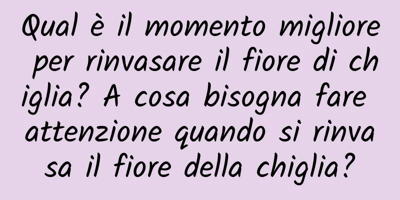 Qual è il momento migliore per rinvasare il fiore di chiglia? A cosa bisogna fare attenzione quando si rinvasa il fiore della chiglia?