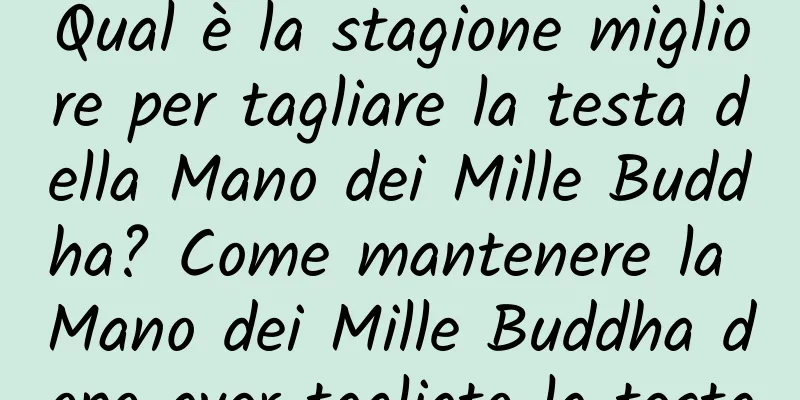 Qual è la stagione migliore per tagliare la testa della Mano dei Mille Buddha? Come mantenere la Mano dei Mille Buddha dopo aver tagliato la testa