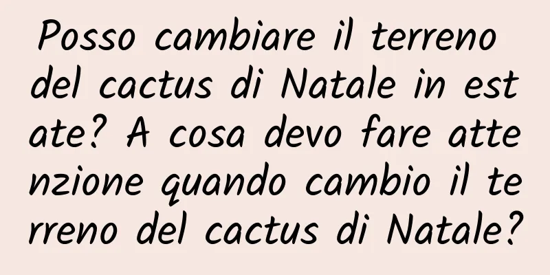 Posso cambiare il terreno del cactus di Natale in estate? A cosa devo fare attenzione quando cambio il terreno del cactus di Natale?