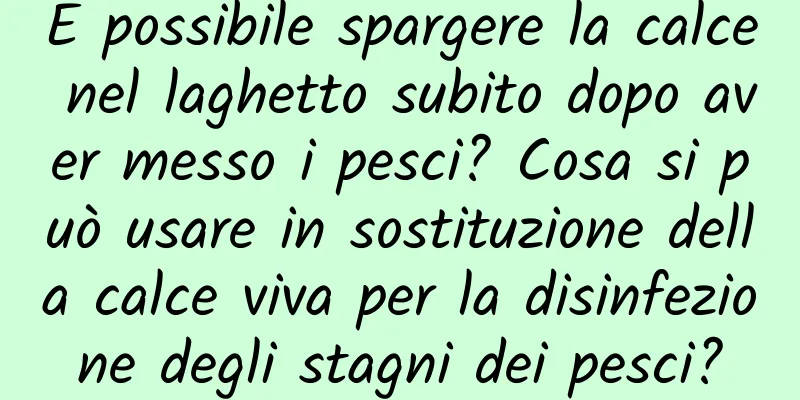 È possibile spargere la calce nel laghetto subito dopo aver messo i pesci? Cosa si può usare in sostituzione della calce viva per la disinfezione degli stagni dei pesci?
