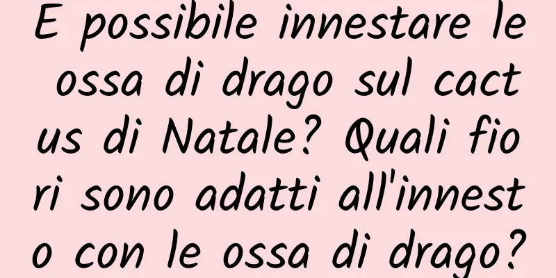 È possibile innestare le ossa di drago sul cactus di Natale? Quali fiori sono adatti all'innesto con le ossa di drago?