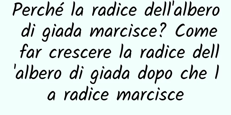 Perché la radice dell'albero di giada marcisce? Come far crescere la radice dell'albero di giada dopo che la radice marcisce