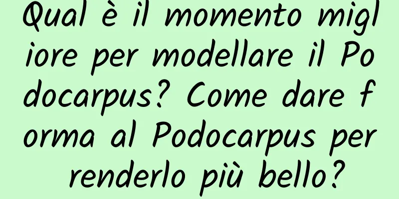 Qual è il momento migliore per modellare il Podocarpus? Come dare forma al Podocarpus per renderlo più bello?