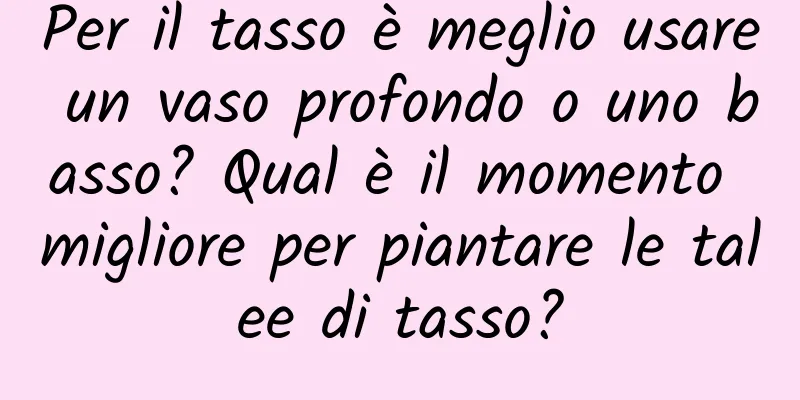 Per il tasso è meglio usare un vaso profondo o uno basso? Qual è il momento migliore per piantare le talee di tasso?
