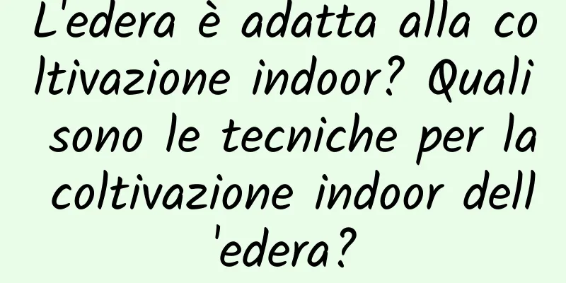 L'edera è adatta alla coltivazione indoor? Quali sono le tecniche per la coltivazione indoor dell'edera?