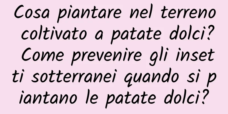 Cosa piantare nel terreno coltivato a patate dolci? Come prevenire gli insetti sotterranei quando si piantano le patate dolci?