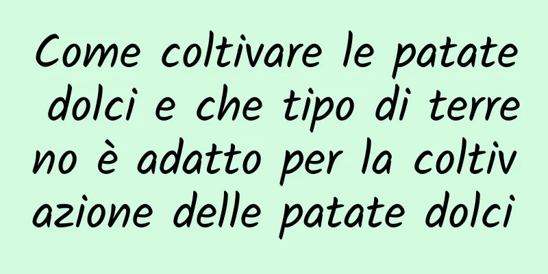 Come coltivare le patate dolci e che tipo di terreno è adatto per la coltivazione delle patate dolci