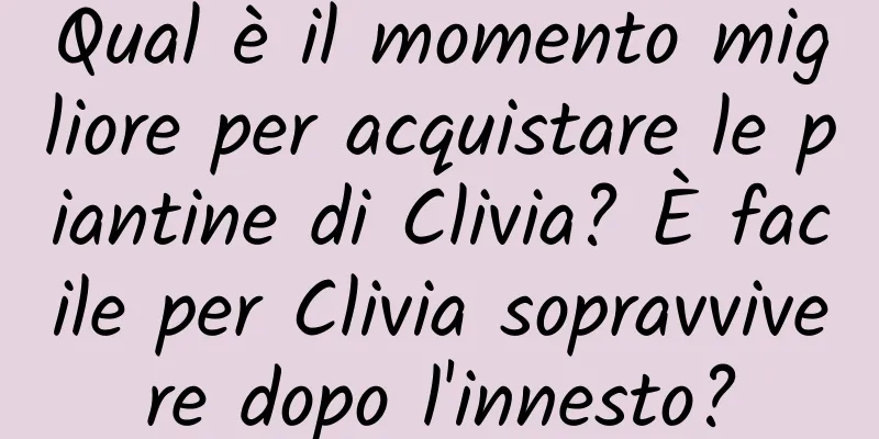 Qual è il momento migliore per acquistare le piantine di Clivia? È facile per Clivia sopravvivere dopo l'innesto?
