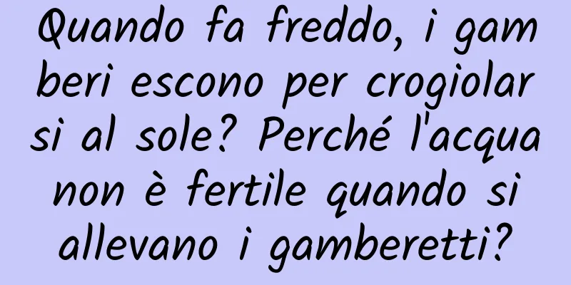 Quando fa freddo, i gamberi escono per crogiolarsi al sole? Perché l'acqua non è fertile quando si allevano i gamberetti?