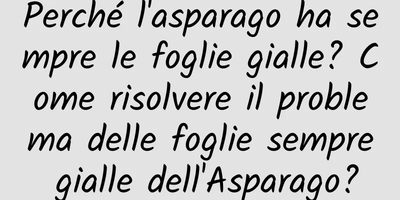Perché l'asparago ha sempre le foglie gialle? Come risolvere il problema delle foglie sempre gialle dell'Asparago?