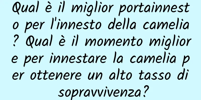 Qual è il miglior portainnesto per l'innesto della camelia? Qual è il momento migliore per innestare la camelia per ottenere un alto tasso di sopravvivenza?