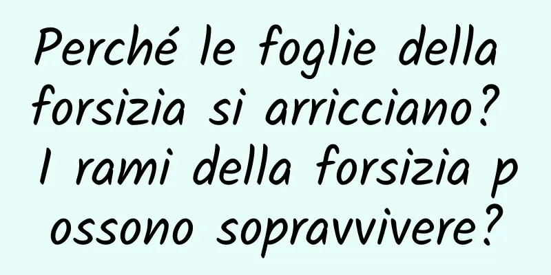 Perché le foglie della forsizia si arricciano? I rami della forsizia possono sopravvivere?