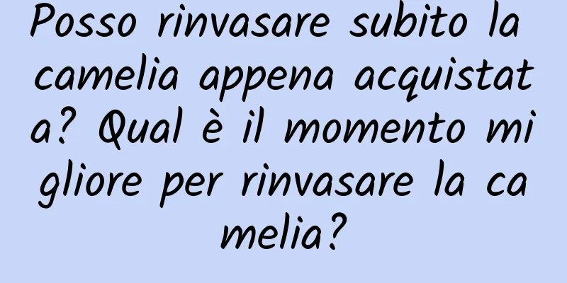 Posso rinvasare subito la camelia appena acquistata? Qual è il momento migliore per rinvasare la camelia?