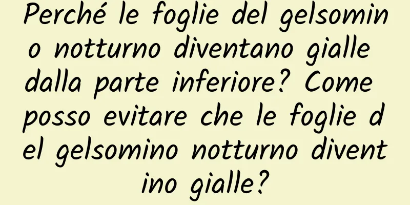 Perché le foglie del gelsomino notturno diventano gialle dalla parte inferiore? Come posso evitare che le foglie del gelsomino notturno diventino gialle?