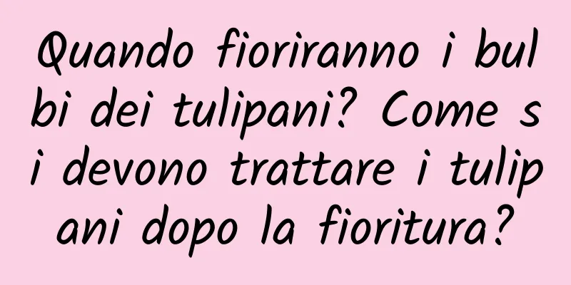 Quando fioriranno i bulbi dei tulipani? Come si devono trattare i tulipani dopo la fioritura?