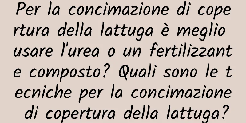 Per la concimazione di copertura della lattuga è meglio usare l'urea o un fertilizzante composto? Quali sono le tecniche per la concimazione di copertura della lattuga?