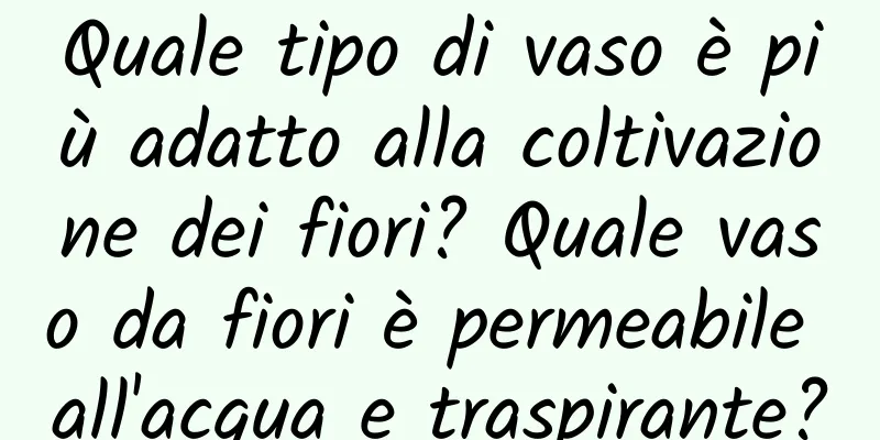 Quale tipo di vaso è più adatto alla coltivazione dei fiori? Quale vaso da fiori è permeabile all'acqua e traspirante?