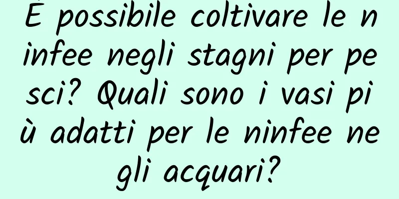 È possibile coltivare le ninfee negli stagni per pesci? Quali sono i vasi più adatti per le ninfee negli acquari?