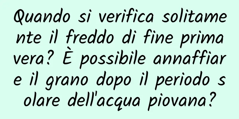 Quando si verifica solitamente il freddo di fine primavera? È possibile annaffiare il grano dopo il periodo solare dell'acqua piovana?
