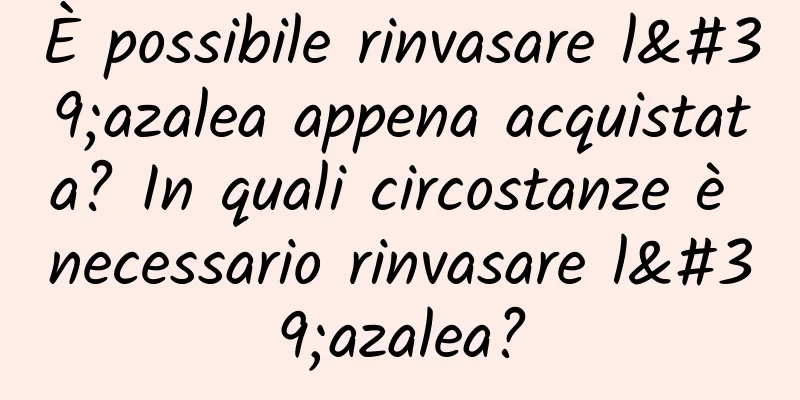 È possibile rinvasare l'azalea appena acquistata? In quali circostanze è necessario rinvasare l'azalea?