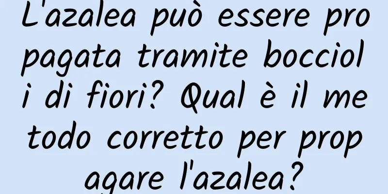L'azalea può essere propagata tramite boccioli di fiori? Qual è il metodo corretto per propagare l'azalea?