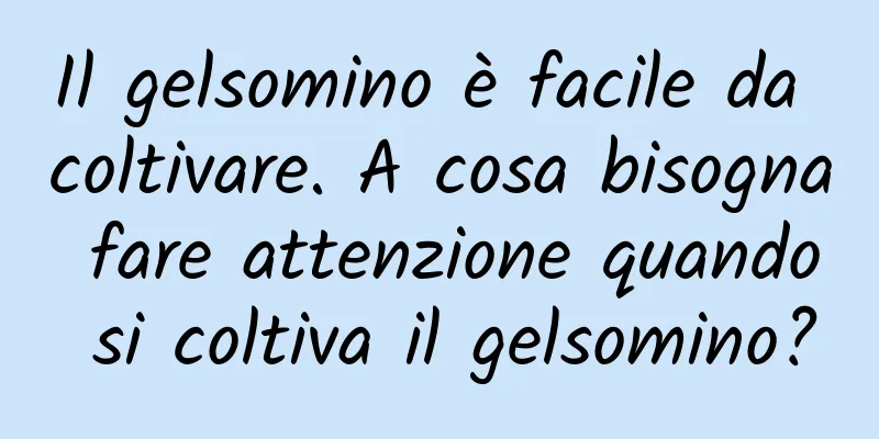Il gelsomino è facile da coltivare. A cosa bisogna fare attenzione quando si coltiva il gelsomino?