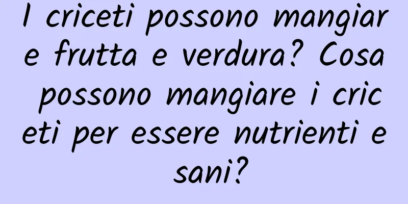 I criceti possono mangiare frutta e verdura? Cosa possono mangiare i criceti per essere nutrienti e sani?