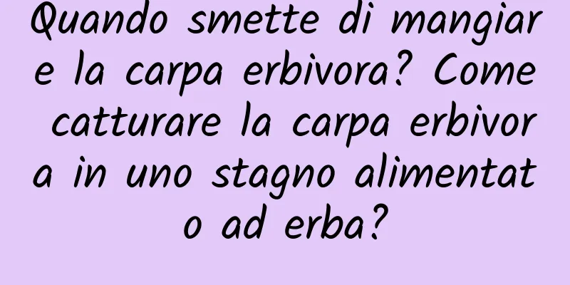 Quando smette di mangiare la carpa erbivora? Come catturare la carpa erbivora in uno stagno alimentato ad erba?
