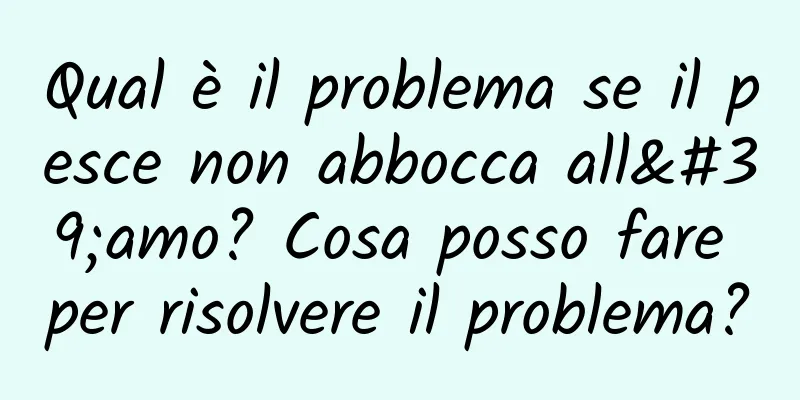 Qual è il problema se il pesce non abbocca all'amo? Cosa posso fare per risolvere il problema?