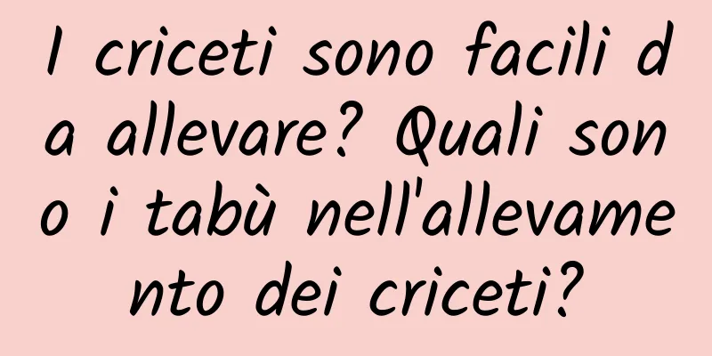 I criceti sono facili da allevare? Quali sono i tabù nell'allevamento dei criceti?
