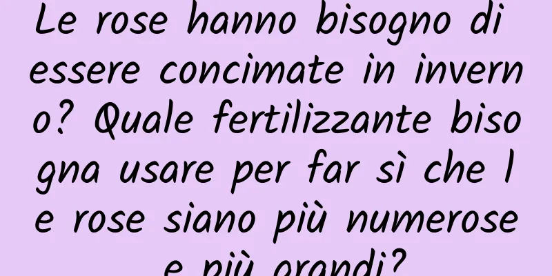 Le rose hanno bisogno di essere concimate in inverno? Quale fertilizzante bisogna usare per far sì che le rose siano più numerose e più grandi?