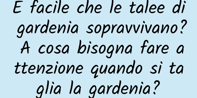 È facile che le talee di gardenia sopravvivano? A cosa bisogna fare attenzione quando si taglia la gardenia?
