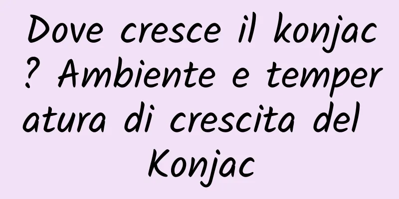 Dove cresce il konjac? Ambiente e temperatura di crescita del Konjac