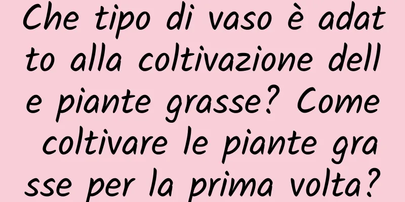 Che tipo di vaso è adatto alla coltivazione delle piante grasse? Come coltivare le piante grasse per la prima volta?