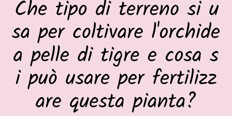 Che tipo di terreno si usa per coltivare l'orchidea pelle di tigre e cosa si può usare per fertilizzare questa pianta?