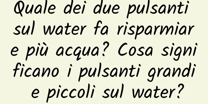 Quale dei due pulsanti sul water fa risparmiare più acqua? Cosa significano i pulsanti grandi e piccoli sul water?
