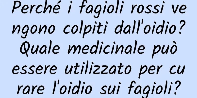 Perché i fagioli rossi vengono colpiti dall'oidio? Quale medicinale può essere utilizzato per curare l'oidio sui fagioli?