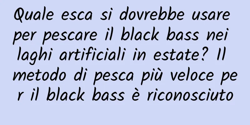 Quale esca si dovrebbe usare per pescare il black bass nei laghi artificiali in estate? Il metodo di pesca più veloce per il black bass è riconosciuto