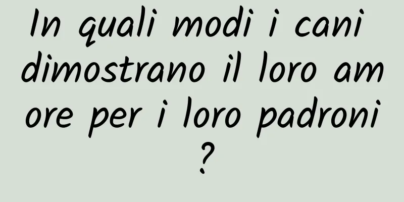 In quali modi i cani dimostrano il loro amore per i loro padroni?