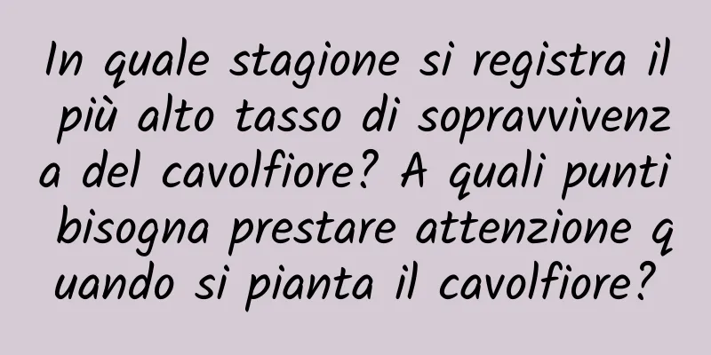 In quale stagione si registra il più alto tasso di sopravvivenza del cavolfiore? A quali punti bisogna prestare attenzione quando si pianta il cavolfiore?