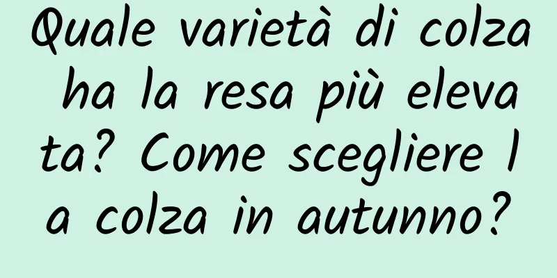 Quale varietà di colza ha la resa più elevata? Come scegliere la colza in autunno?