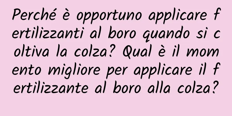 Perché è opportuno applicare fertilizzanti al boro quando si coltiva la colza? Qual è il momento migliore per applicare il fertilizzante al boro alla colza?