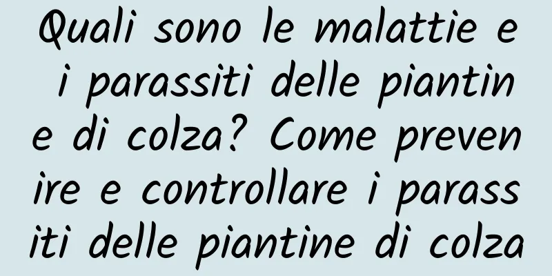 Quali sono le malattie e i parassiti delle piantine di colza? Come prevenire e controllare i parassiti delle piantine di colza