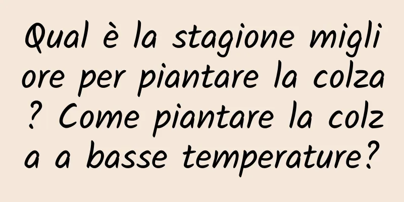 Qual è la stagione migliore per piantare la colza? Come piantare la colza a basse temperature?