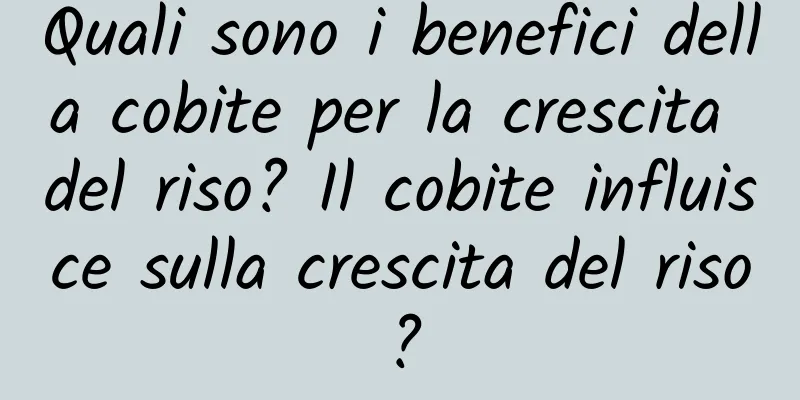 Quali sono i benefici della cobite per la crescita del riso? Il cobite influisce sulla crescita del riso?